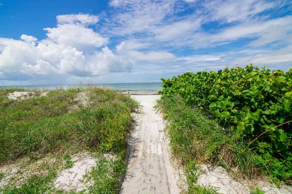 The Siren's Song - Steps from the beach, Direct Ocean Views! - Image 5
